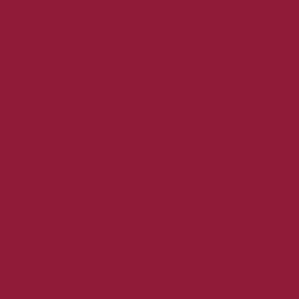 Tissue paper (solid color) 20'' x 30''