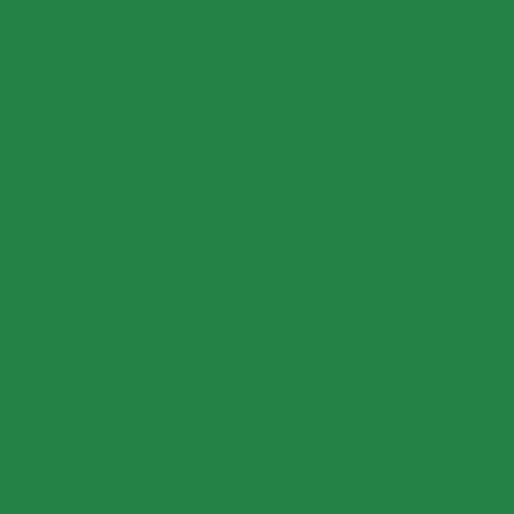 Tissue paper (solid color) 20'' x 30''