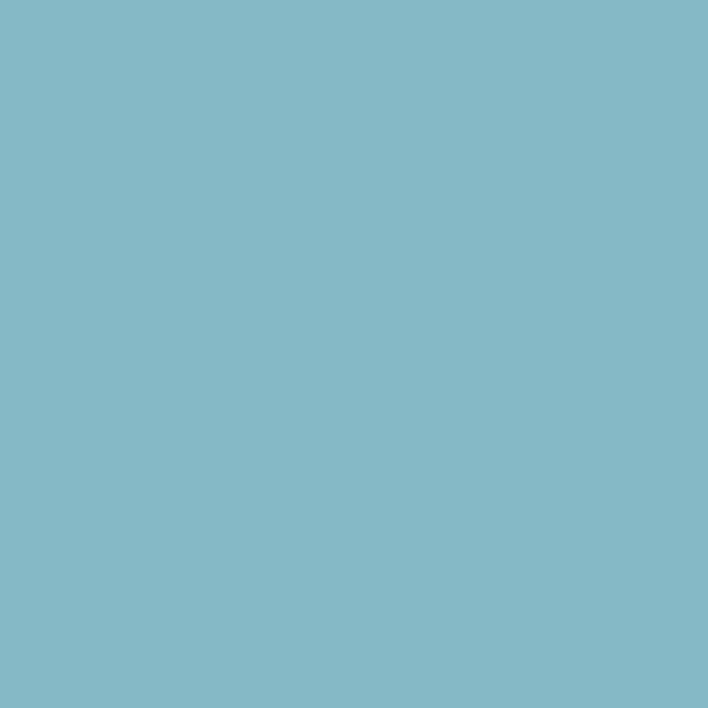 Tissue paper (solid color) 20'' x 30''